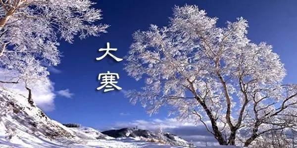 警察战僵尸无敌版